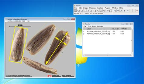 measuring thickness with imagej|imagej width.